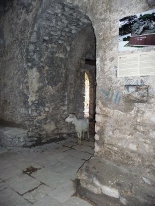 15 Porto Palomares 