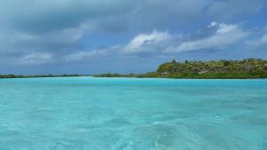Bahamas, Exumas, Schroud-cay