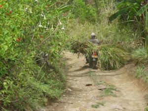 Sierra Nevada de Santa Marta