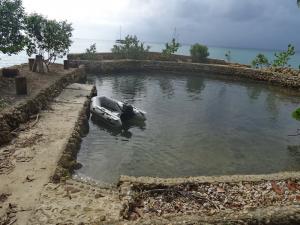Isla-Fuerte