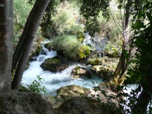  Krka 
