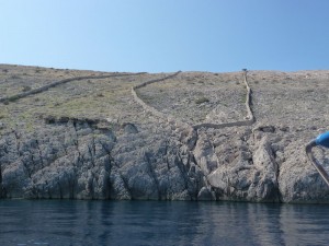  Pag 