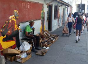 Cienfuegos : vendeur d'herbes