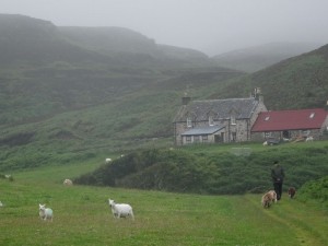 27 Eigg l'éleveur et ses chiens, sa maison en arr plan