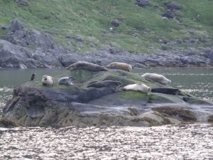 32 Loch Scavaig- Skye 08