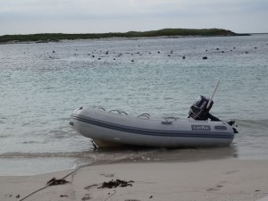 Monach islands phoques mateurs