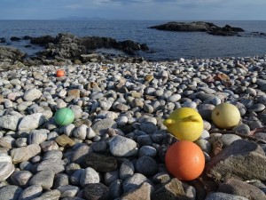 Monach islands le matériel de pêche rejeté par la mer