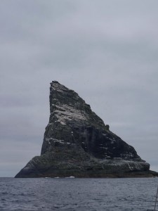 S Kilda  Stac an Min  fous de Bassan