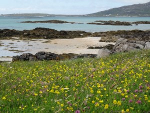 Eriskay