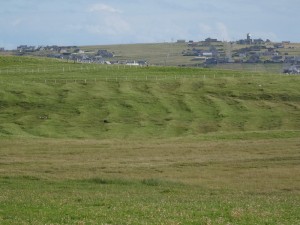 Lewis Butt of Lewis, Lazy beds