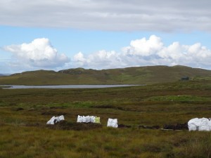 Lewis extraction tourbe