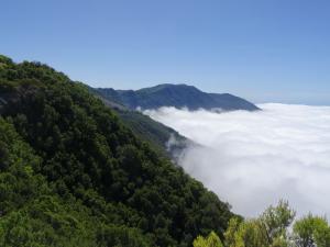  La Lliana