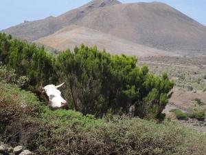  rando belv Bascos et Sabinar 