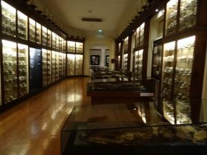31 Las Palmas musee preh 
