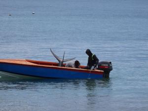 Petite-Martinique