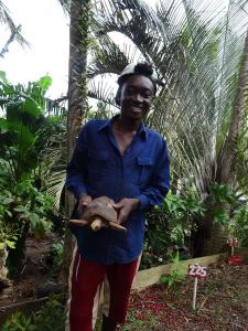 Grenade Palm-tree-garden