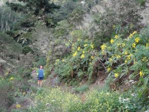 28 ermita San Isidro Epina 