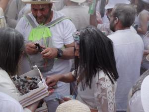 25- Carnaval SantaCruz 