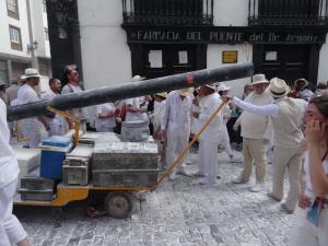 35- Carnaval SantaCruz 