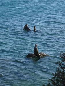 34 Arrecife musee art contemporain