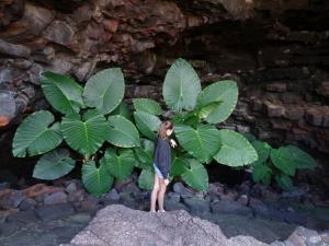 47 cueva de los verdes 