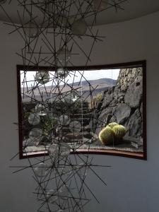 54 Jardim cactus 