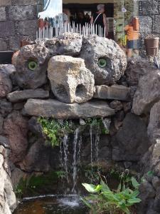 56 Jardim cactus 
