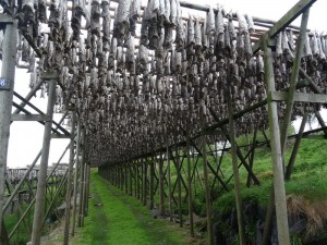 Lofoten-Reine séchoir à morue
