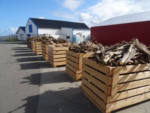 Lofoten Rost, morues prêtes à l'exportation