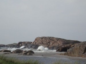 Sirevaag 