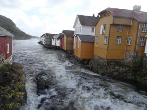 Rekefjord
