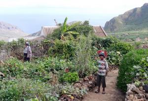 petite exploitation paysanne