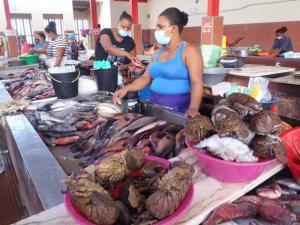 Mindelo, le marché aux poissons