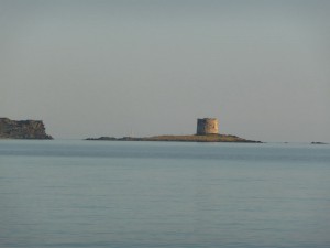 5 ile de Piana 01
