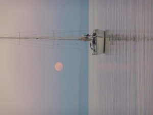 5 ile de Piana 06