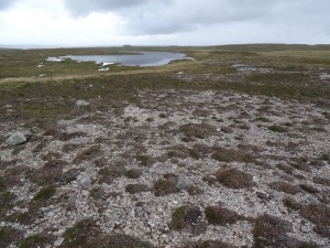 érosion à Eshaness