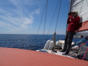 21 recherche de baleines 