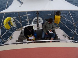 29 cap S Vincent et autour 