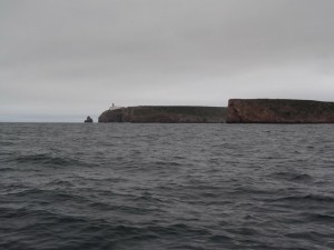 30 cap S Vincent et autour 