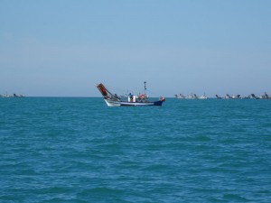 56 Surpeche