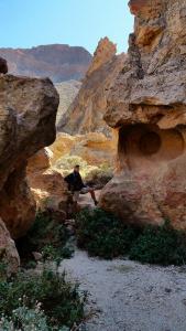 sur le Teide