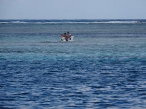 Los Roques Francisky