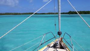 Los Roques Rabusky