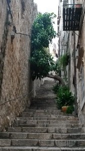  Dubrovnik 