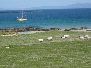 Oronsay 
