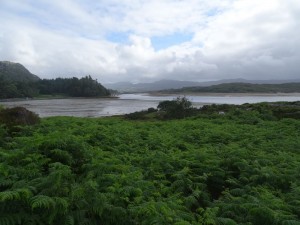 Loch Moidart 