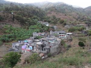 28 Fogo 