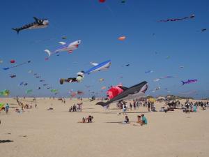 38 Corralejo 