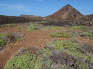 3 isla de lobos 
