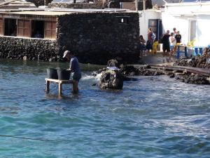 8 isla de lobos 